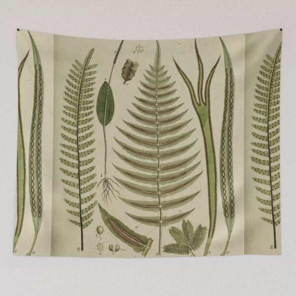 Item preview, Fern Chart designed and sold by BlueSpecsStudio.