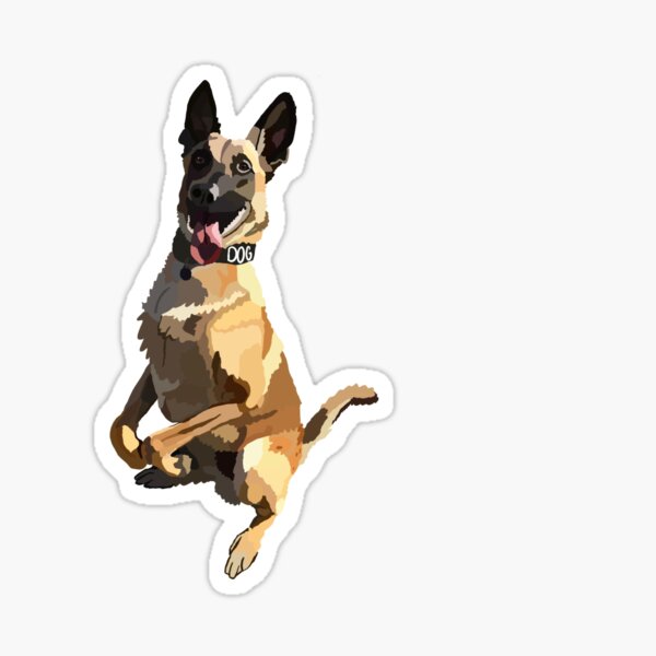 Belgian Malinois Stickers | Redbubble