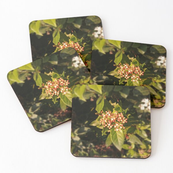 Item preview, Tiny Flowers  designed and sold by Hazel Meades.