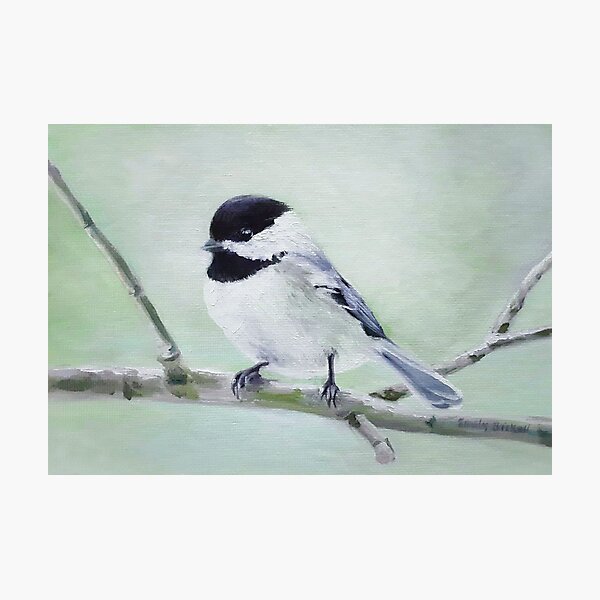 Chickadee in Spring painting Photographic Print
