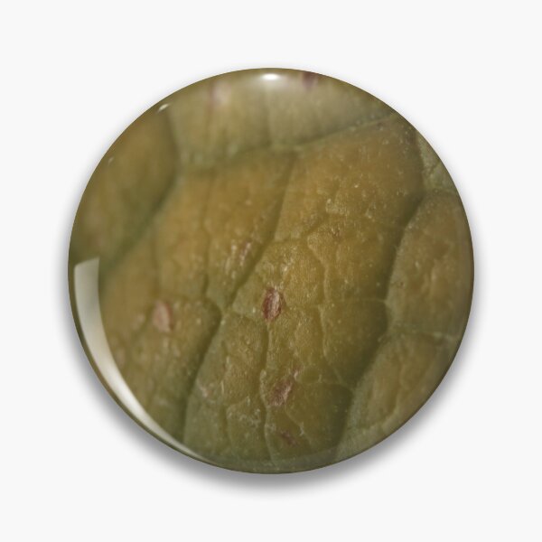Item preview, Skin of the Green Bean Monster designed and sold by stephenralph.