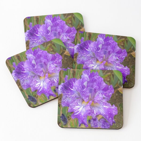 Item preview, Montclair New Jersey-Presby Iris Gardens designed and sold by Emily Gartner.