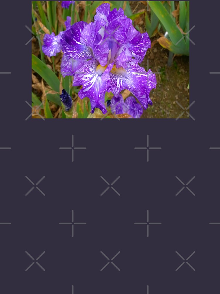 Montclair New Jersey-Presby Iris Gardens by Matlgirl