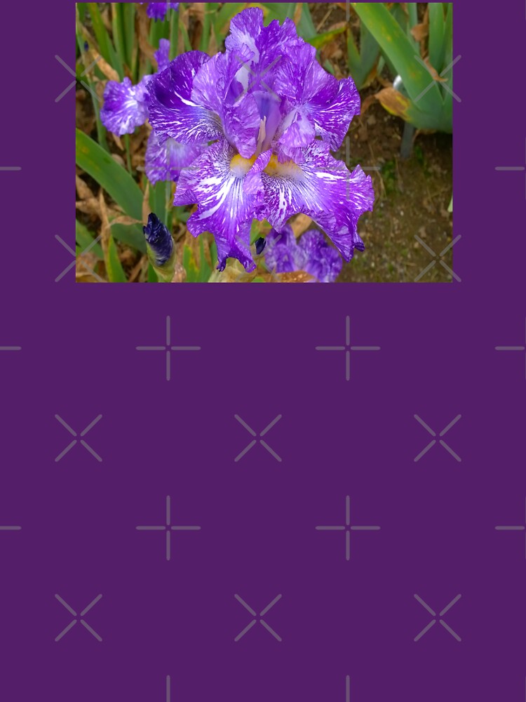 Montclair New Jersey-Presby Iris Gardens by Matlgirl