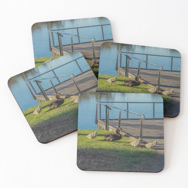 Item preview, Black Swans and their Cygnets - Lake Weeroona, Bendigo designed and sold by Steven Jodoin.