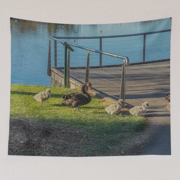 Item preview, Black Swans and their Cygnets - Lake Weeroona, Bendigo designed and sold by Steven Jodoin.
