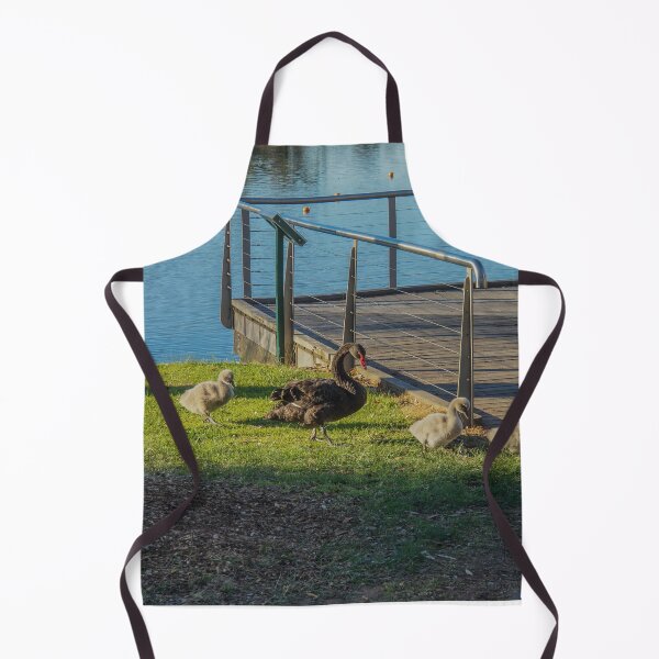 Item preview, Black Swans and their Cygnets - Lake Weeroona, Bendigo designed and sold by Steven Jodoin.