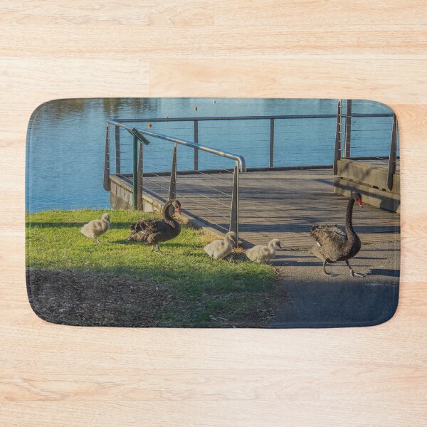 Item preview, Black Swans and their Cygnets - Lake Weeroona, Bendigo designed and sold by Steven Jodoin.