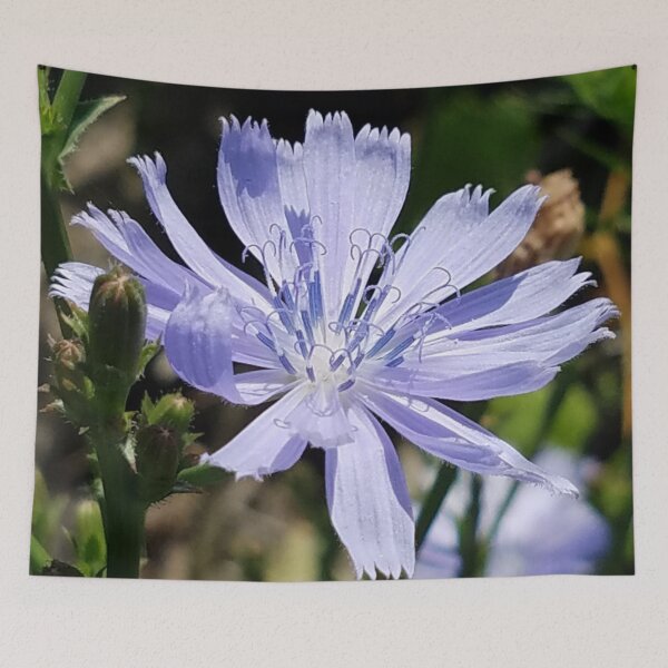 Item preview, Beautiful Blue designed and sold by Rebecca Jane.