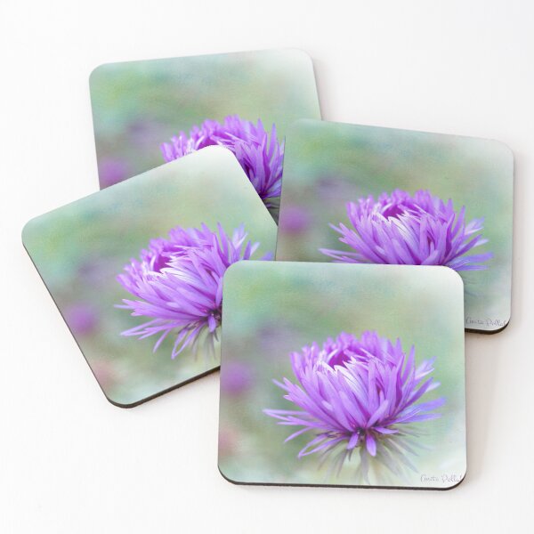 Item preview, This is My Moment to Shine designed and sold by Photo Art By Anita.