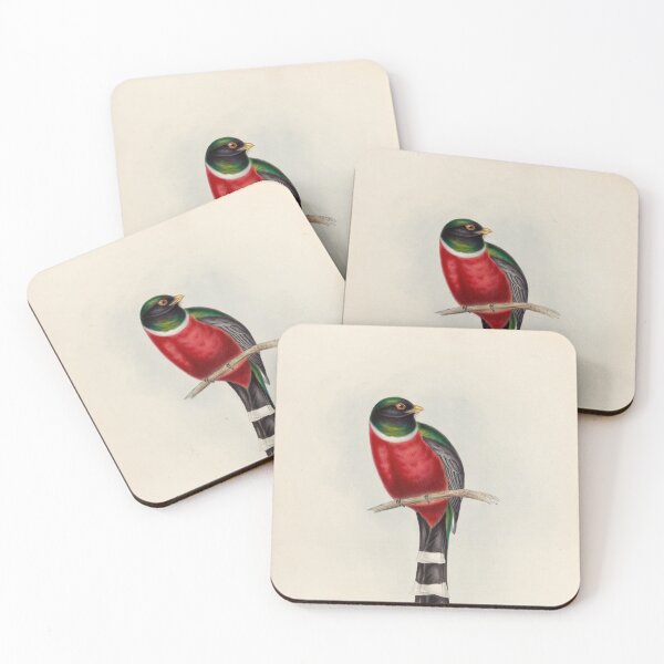 Item preview, A monograph of the Trogonidae or family of trogons John Gould 1838 V1 to V3 0004 Trogon Mexicanus Mexican Trogon designed and sold by WetdryvacRB01.