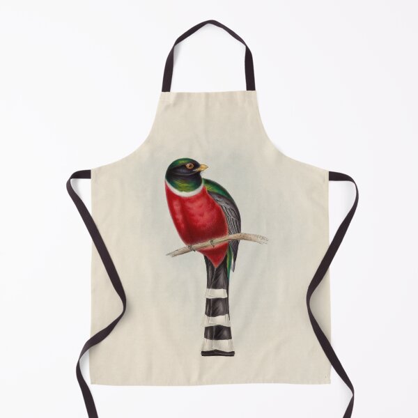 Item preview, A monograph of the Trogonidae or family of trogons John Gould 1838 V1 to V3 0004 Trogon Mexicanus Mexican Trogon designed and sold by WetdryvacRB01.