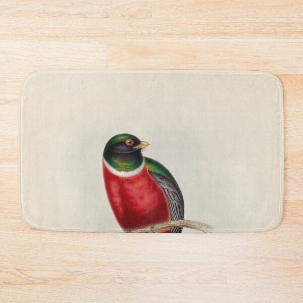 Item preview, A monograph of the Trogonidae or family of trogons John Gould 1838 V1 to V3 0004 Trogon Mexicanus Mexican Trogon designed and sold by WetdryvacRB01.