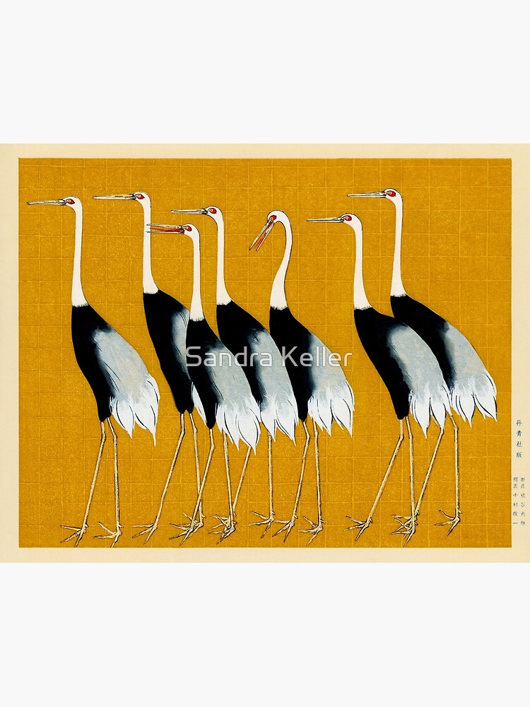 JAPANESE CRANES Animal Poster Picture Poster Print Art A0 A1 A2 A3 A4 3448