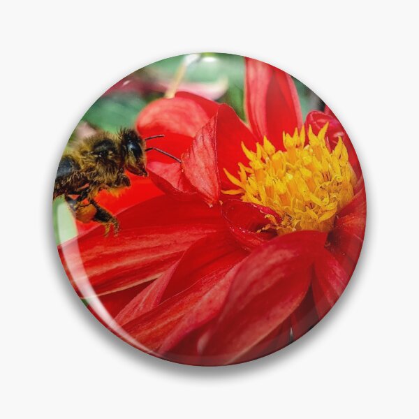 Item preview, Busy designed and sold by DaveEssonPhotos.