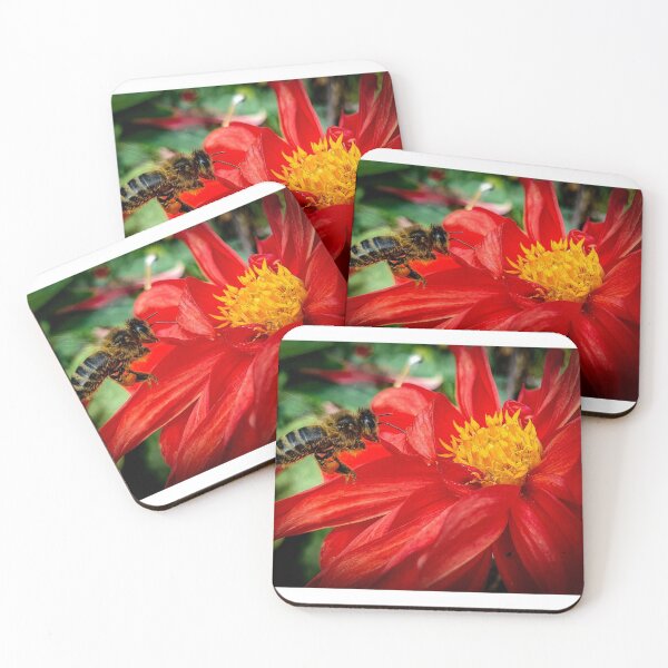 Item preview, Busy designed and sold by DaveEssonPhotos.