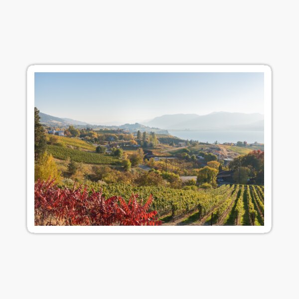 Item preview, Naramata Bench Vineyard View designed and sold by Amy Mitchell.