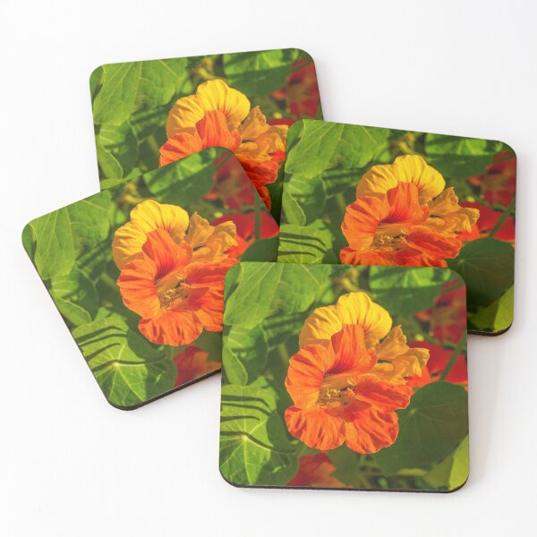 Item preview, Colourful Springtime Flowers - Bendigo, Victoria designed and sold by Steven Jodoin.