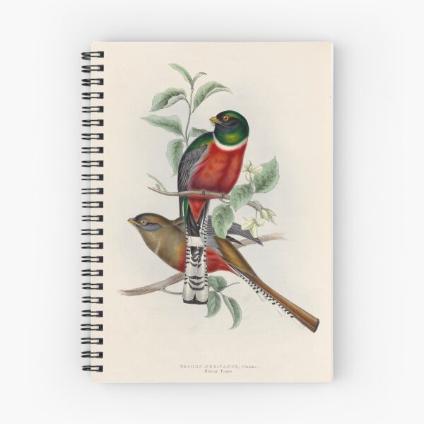 Item preview, A monograph of the Trogonidae or family of trogons John Gould 1838 V1 to V3 0006 Trogon Mexicanus Mexican Trogon designed and sold by WetdryvacRB01.