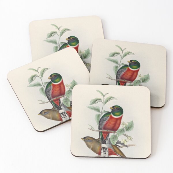 Item preview, A monograph of the Trogonidae or family of trogons John Gould 1838 V1 to V3 0006 Trogon Mexicanus Mexican Trogon designed and sold by WetdryvacRB01.