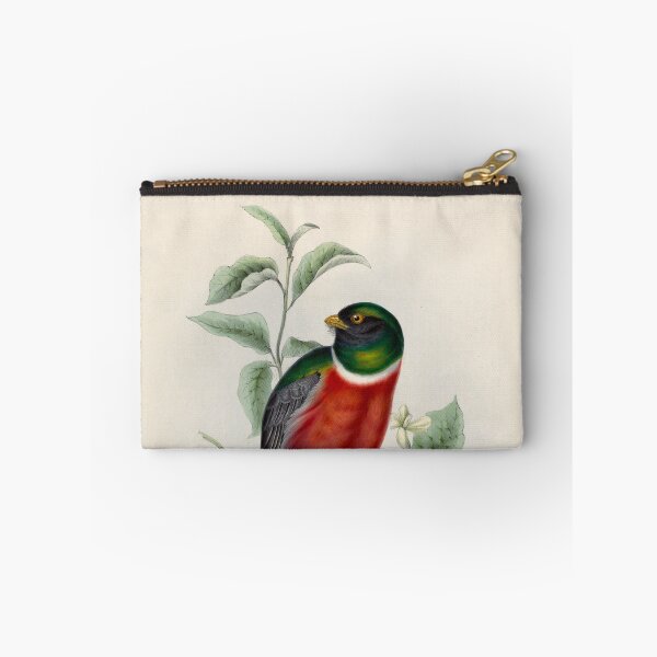 Item preview, A monograph of the Trogonidae or family of trogons John Gould 1838 V1 to V3 0006 Trogon Mexicanus Mexican Trogon designed and sold by WetdryvacRB01.