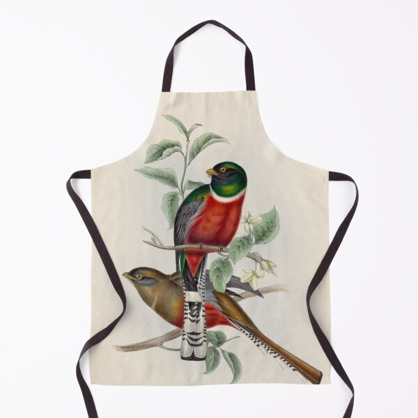Item preview, A monograph of the Trogonidae or family of trogons John Gould 1838 V1 to V3 0006 Trogon Mexicanus Mexican Trogon designed and sold by WetdryvacRB01.