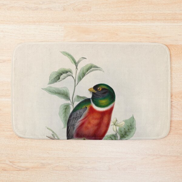 Item preview, A monograph of the Trogonidae or family of trogons John Gould 1838 V1 to V3 0006 Trogon Mexicanus Mexican Trogon designed and sold by WetdryvacRB01.
