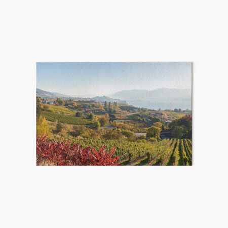 Item preview, Naramata Bench Vineyard View designed and sold by Amy Mitchell.