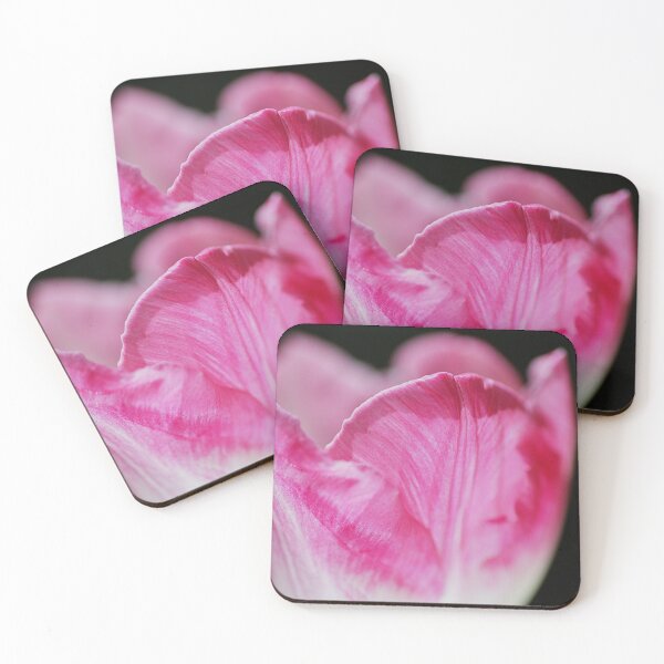 Item preview, Pink White Tulip Cup designed and sold by Joy Watson - Natural Light Photography .