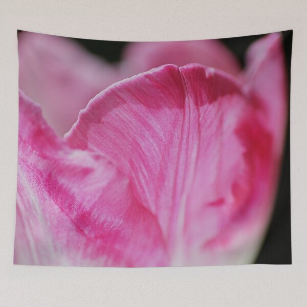 Item preview, Pink White Tulip Cup designed and sold by Joy Watson - Natural Light Photography .