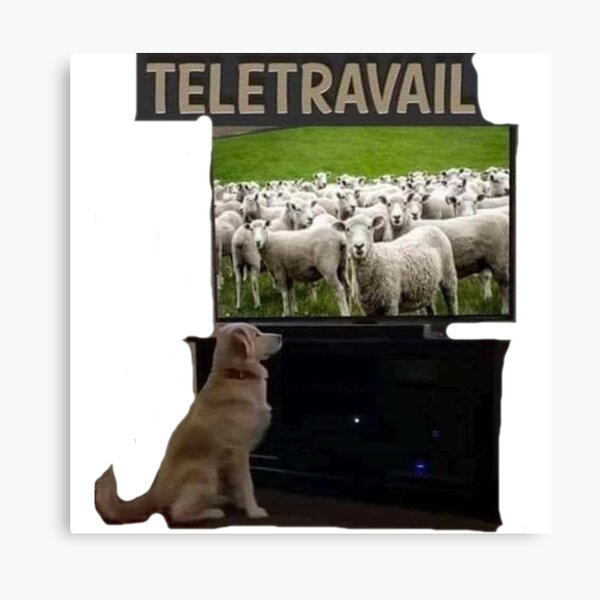 Telecommuting. Canvas Print