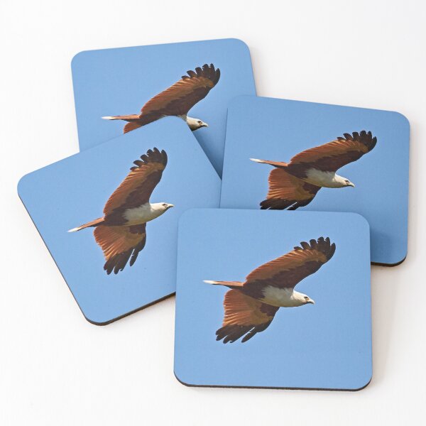 Item preview, Brahminy Kite designed and sold by Robert Elliott.