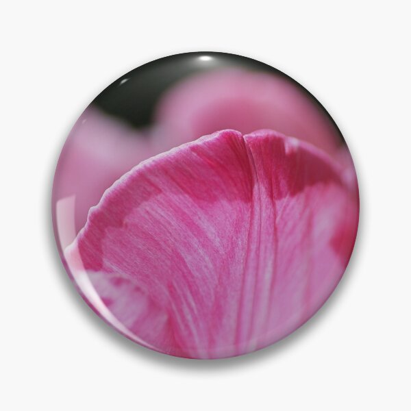 Aperçu de l'œuvre Coupe tulipe blanche rose créée et vendue par Joy Watson - Natural Light Photography .