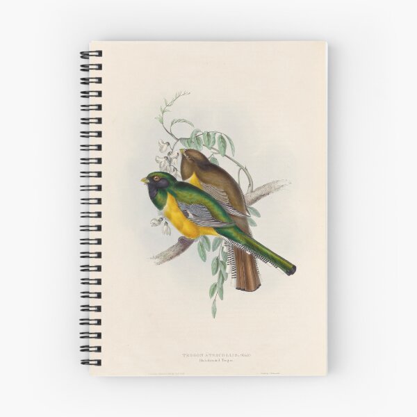 Item preview, A monograph of the Trogonidae or family of trogons John Gould 1838 V1 to V3 0008 Trogon Atricollis Black Throated Trogon designed and sold by WetdryvacRB01.