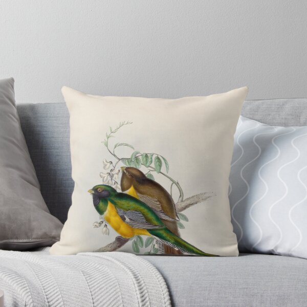 Item preview, A monograph of the Trogonidae or family of trogons John Gould 1838 V1 to V3 0008 Trogon Atricollis Black Throated Trogon designed and sold by WetdryvacRB01.