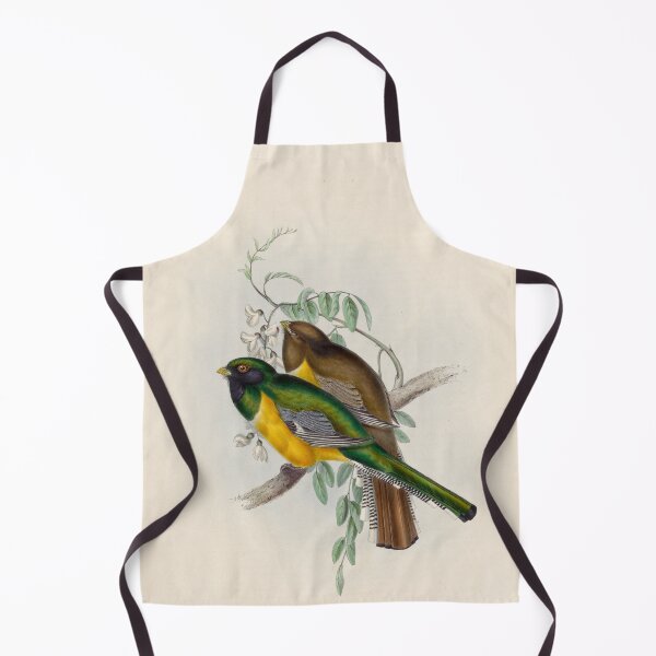Item preview, A monograph of the Trogonidae or family of trogons John Gould 1838 V1 to V3 0008 Trogon Atricollis Black Throated Trogon designed and sold by WetdryvacRB01.