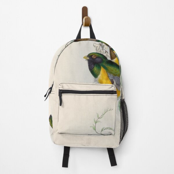Item preview, A monograph of the Trogonidae or family of trogons John Gould 1838 V1 to V3 0008 Trogon Atricollis Black Throated Trogon designed and sold by WetdryvacRB01.