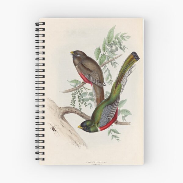 Item preview, A monograph of the Trogonidae or family of trogons John Gould 1838 V1 to V3 0010 Trogon Elegans Graceful Trogon designed and sold by WetdryvacRB01.