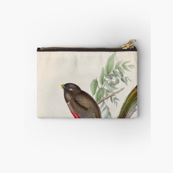 Item preview, A monograph of the Trogonidae or family of trogons John Gould 1838 V1 to V3 0010 Trogon Elegans Graceful Trogon designed and sold by WetdryvacRB01.
