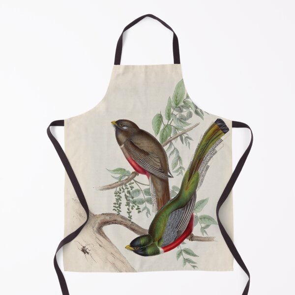 Item preview, A monograph of the Trogonidae or family of trogons John Gould 1838 V1 to V3 0010 Trogon Elegans Graceful Trogon designed and sold by WetdryvacRB01.