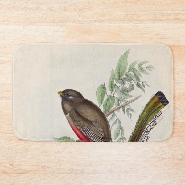 Item preview, A monograph of the Trogonidae or family of trogons John Gould 1838 V1 to V3 0010 Trogon Elegans Graceful Trogon designed and sold by WetdryvacRB01.