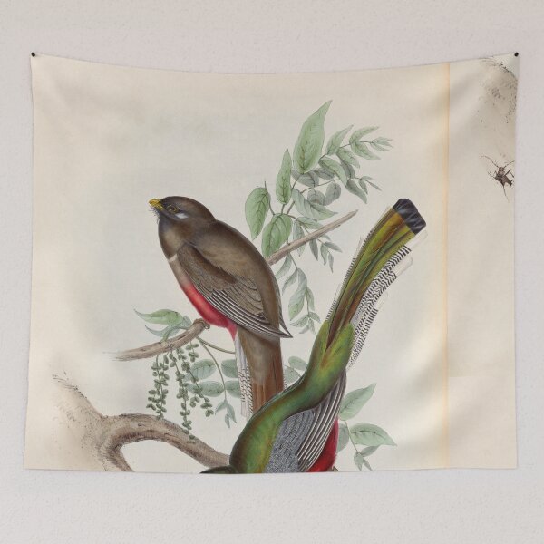Item preview, A monograph of the Trogonidae or family of trogons John Gould 1838 V1 to V3 0010 Trogon Elegans Graceful Trogon designed and sold by WetdryvacRB01.