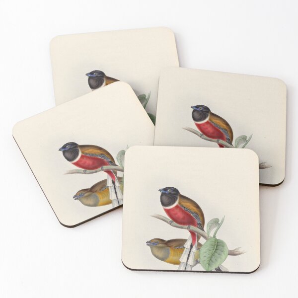 Item preview, A monograph of the Trogonidae or family of trogons John Gould 1838 V1 to V3 0012 Trogon Malabaricus Malabar Trogon designed and sold by WetdryvacRB01.