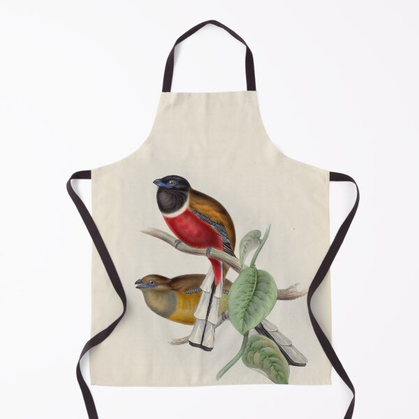 Item preview, A monograph of the Trogonidae or family of trogons John Gould 1838 V1 to V3 0012 Trogon Malabaricus Malabar Trogon designed and sold by WetdryvacRB01.