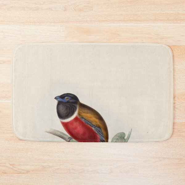 Item preview, A monograph of the Trogonidae or family of trogons John Gould 1838 V1 to V3 0012 Trogon Malabaricus Malabar Trogon designed and sold by WetdryvacRB01.