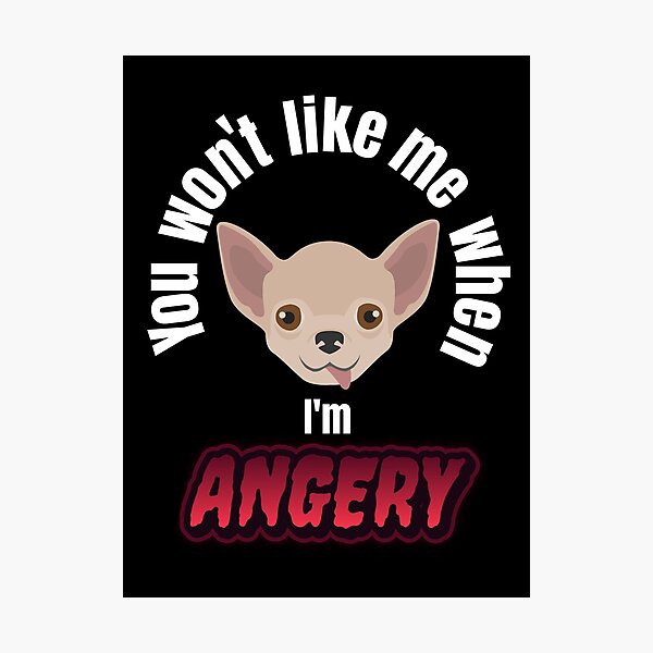 Angry Chihuahua Meme Photographic Prints Redbubble