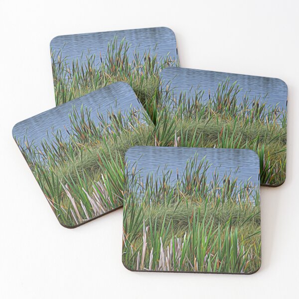 Item preview, Bulrush illustration designed and sold by CanadianWild418.