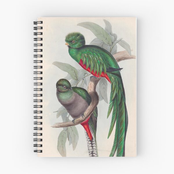 Item preview, A monograph of the Trogonidae or family of trogons John Gould 1838 V1 to V3 0014 Trogon Resplendens Resplendent Trogon designed and sold by WetdryvacRB01.