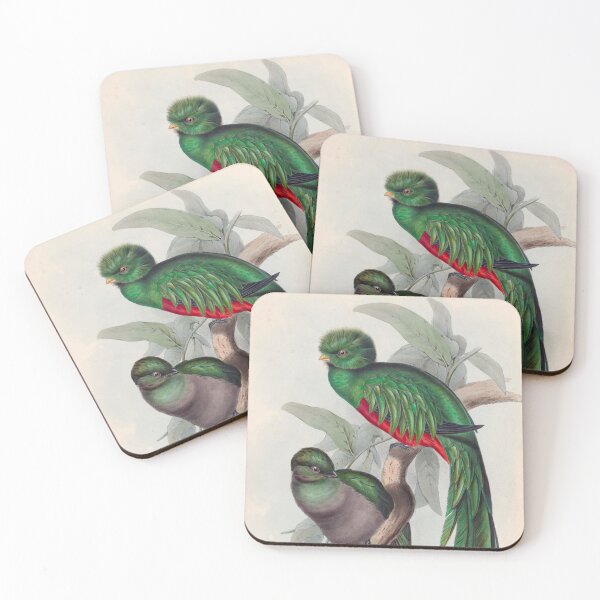 Item preview, A monograph of the Trogonidae or family of trogons John Gould 1838 V1 to V3 0014 Trogon Resplendens Resplendent Trogon designed and sold by WetdryvacRB01.