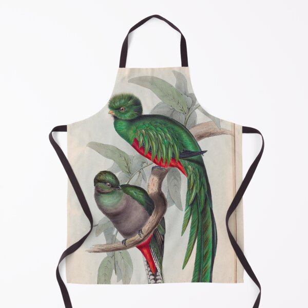 Item preview, A monograph of the Trogonidae or family of trogons John Gould 1838 V1 to V3 0014 Trogon Resplendens Resplendent Trogon designed and sold by WetdryvacRB01.